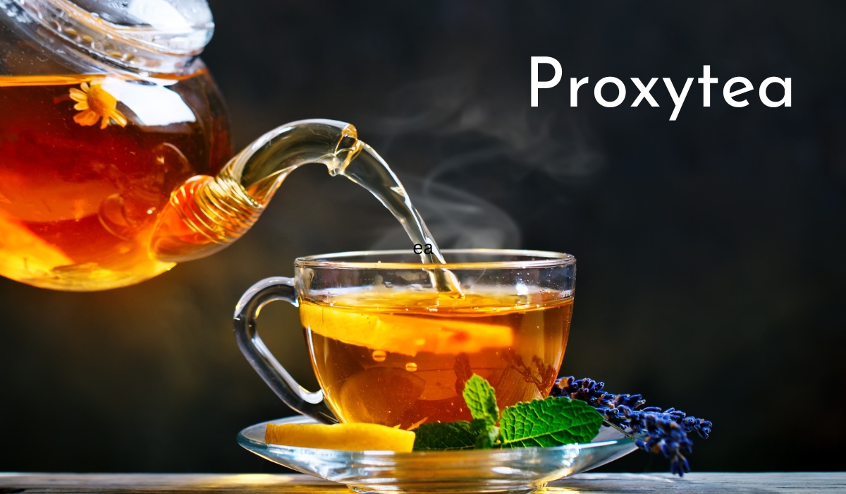A Detailed Guide On proxytea - Everything You Should Know