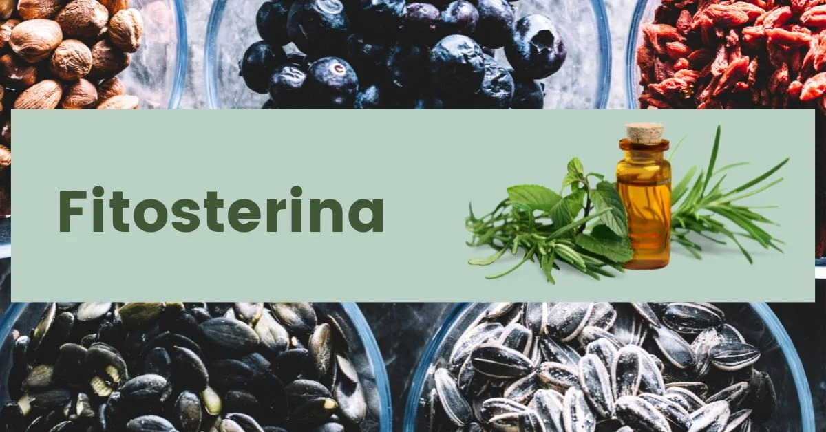 A Detailed Guide On Fitosterina - Everything You Should Know