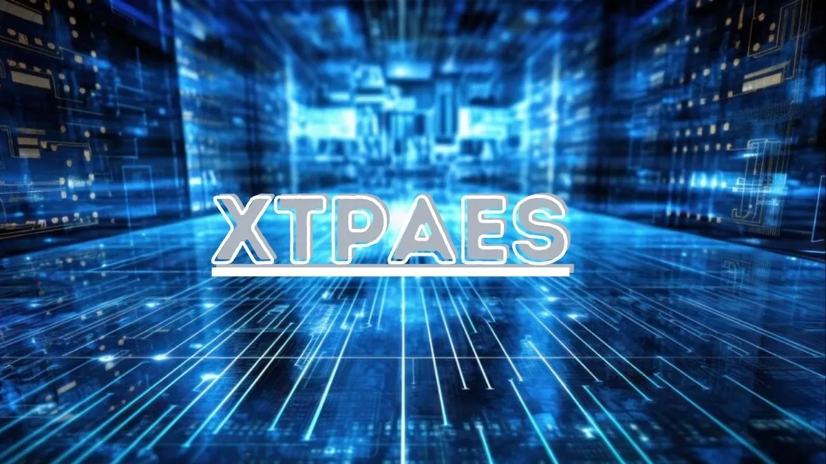 Xtpaes: Elevating Your SEO Strategy