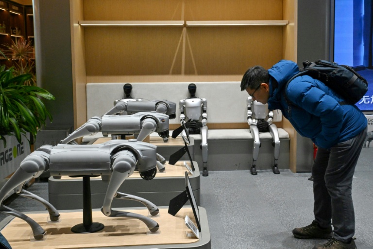 Artist chains up thrashing robot dog to expose AI fears